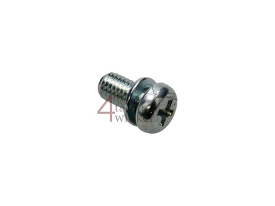 Screw-Washer, 5x10, OEM Honda